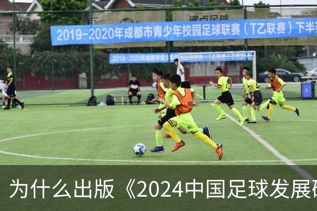 为什么出版《2024中国足球发展研讨会白皮书》？