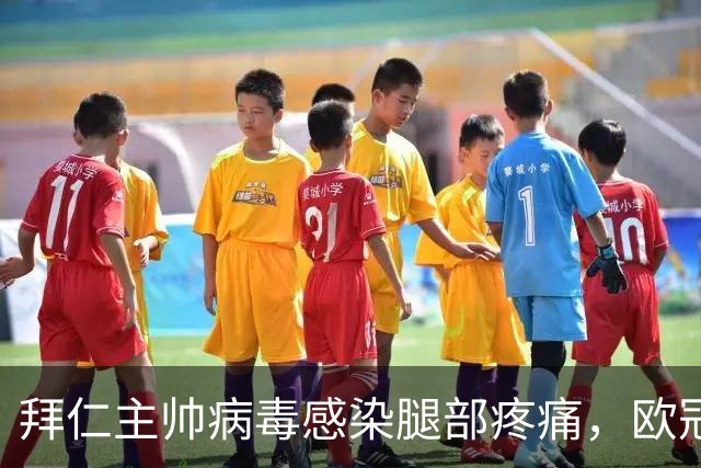 拜仁主帅病毒感染腿部疼痛，欧冠战阿森纳恐缺席