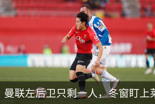 曼联左后卫只剩一人，冬窗盯上莱比锡28岁队长