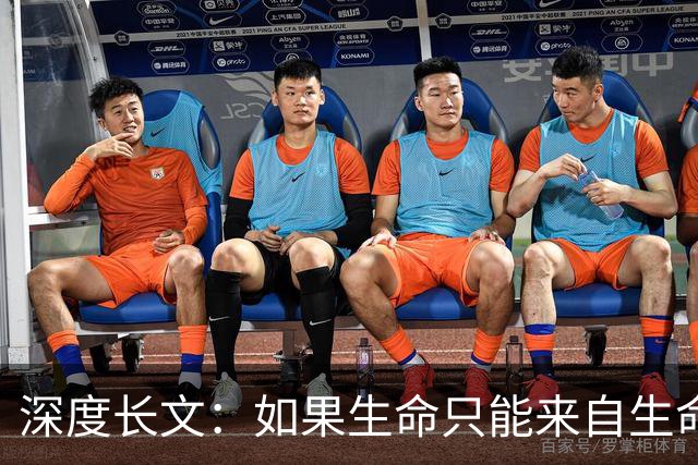 深度长文：如果生命只能来自生命，那第一个生命是怎么冒出来的？